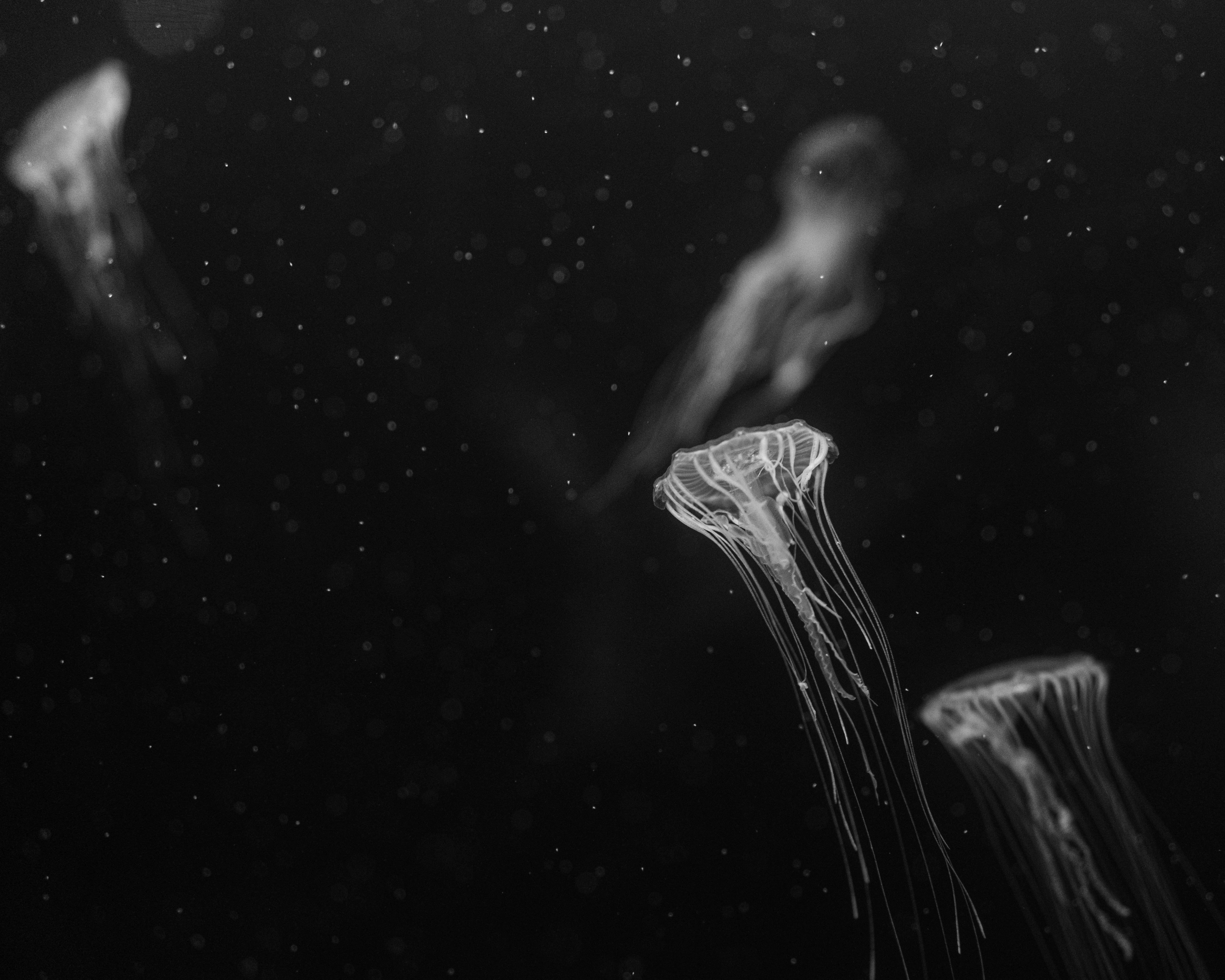 Astral
