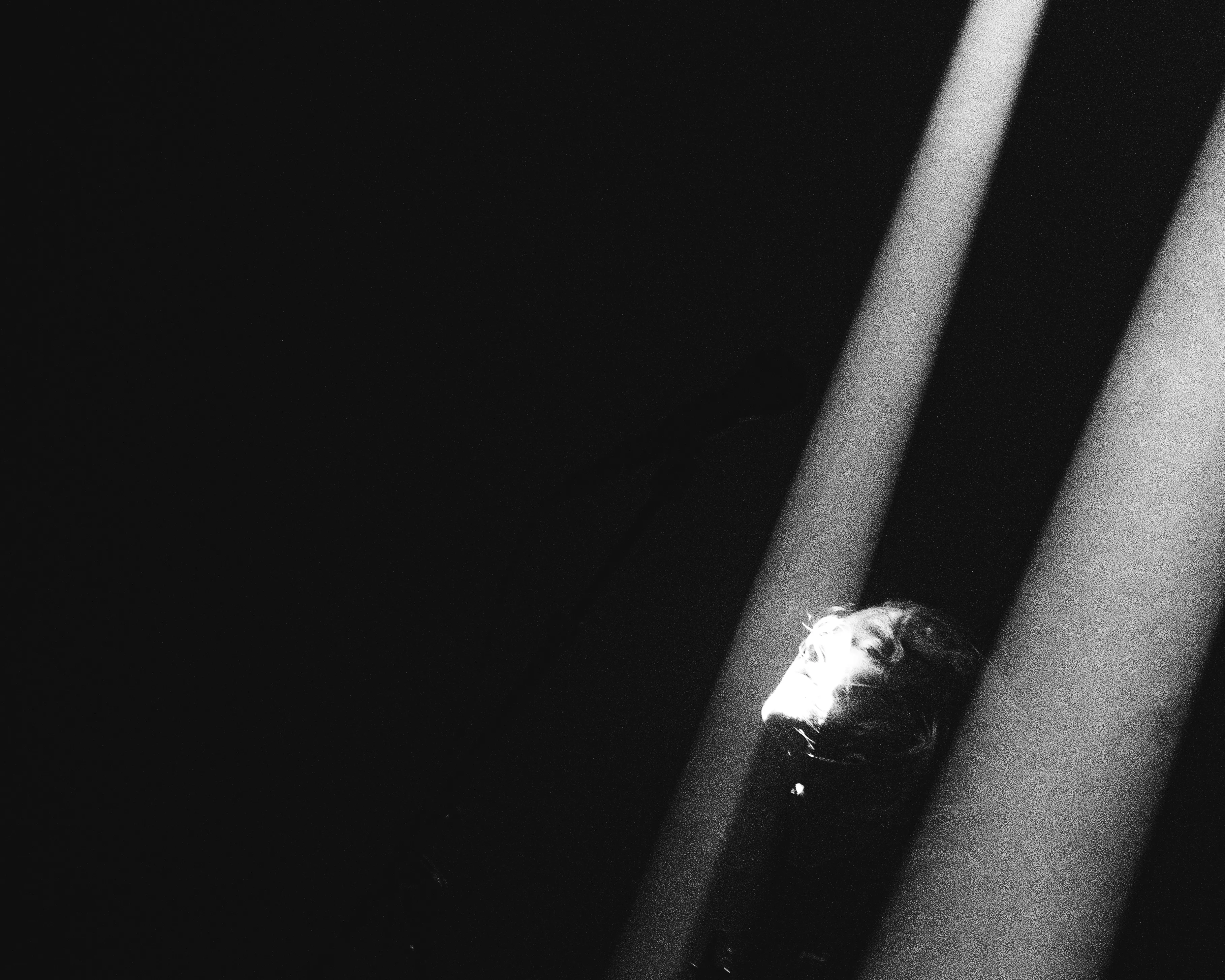 predatory_void-14