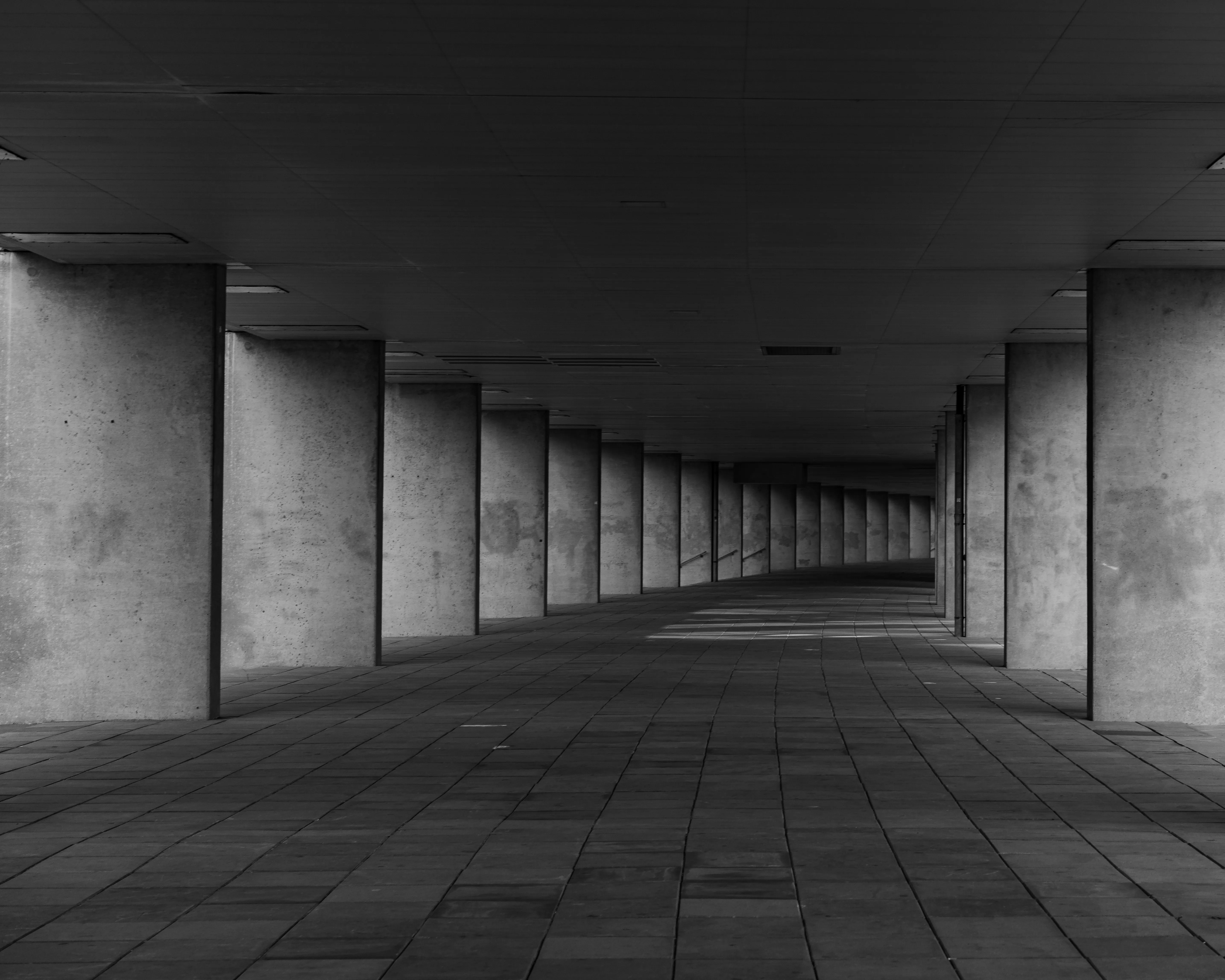 The Walk
