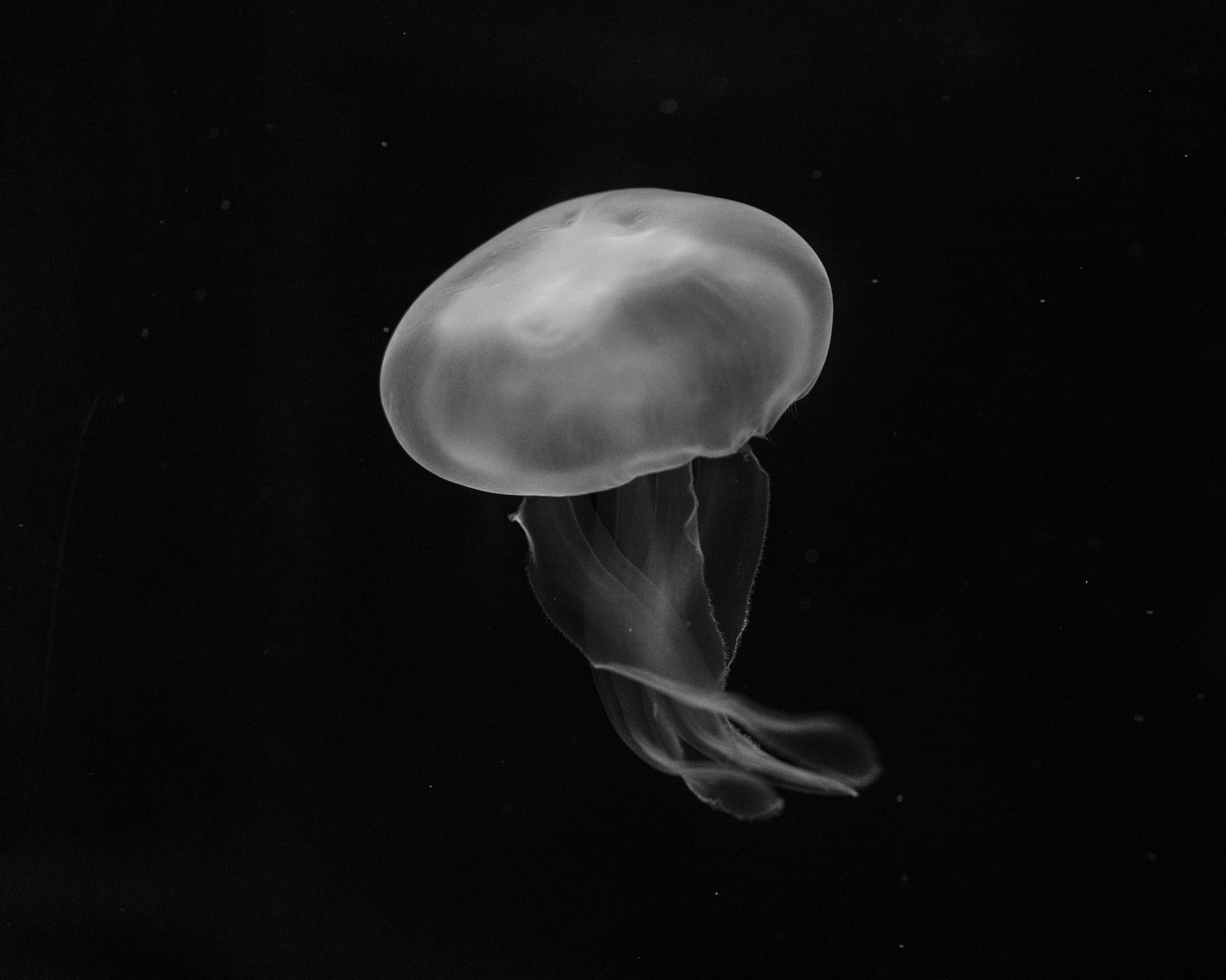 Floating